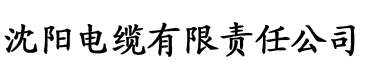 理论性和感性电缆厂logo